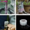 Mplus Grafting Tape 3 inch x 700 Meter for Nurcery and Garden - Image 5