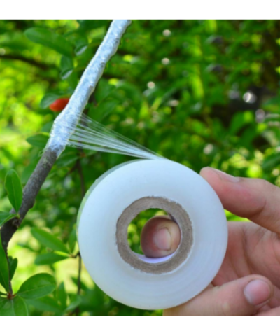 Grafting Tape 3 inch 100 Meter