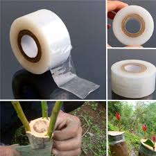 Mplus Grafting Tape 1 inch x 100 Meter for Nurcery and Garden