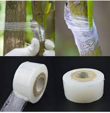 Mplus Grafting Tape 5 inch x 700 Meter for Nurcery and Garden