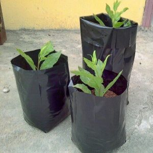 https://www.sveagritech.com/wp-content/uploads/2021/08/plastic-nursery-bag-nursery-bags-for-plants-mplus-industry-3-300x300.jpg