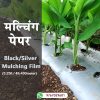 Siddhi Mulching Film with Hole Mulching Paper 30 Micron 3.25 Feet 1200mm 400 Meter - Image 3