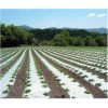 White / Black Mulching Film 30 Micron 3.25 feet 400 Meter