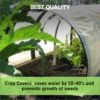 Crop Cover Tunnel Thread 1000 Meter Cone
