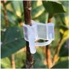 Grafting Clip 4 to 6mm adjustable - Image 5