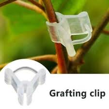 Grafting Clip Garden Plant 4 to 6mm Grafting Clip color white / black  – Plant Straightener Clip