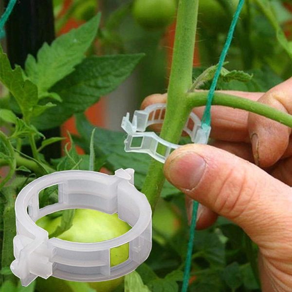Plant Support Clips Tomato Clips - Image 7