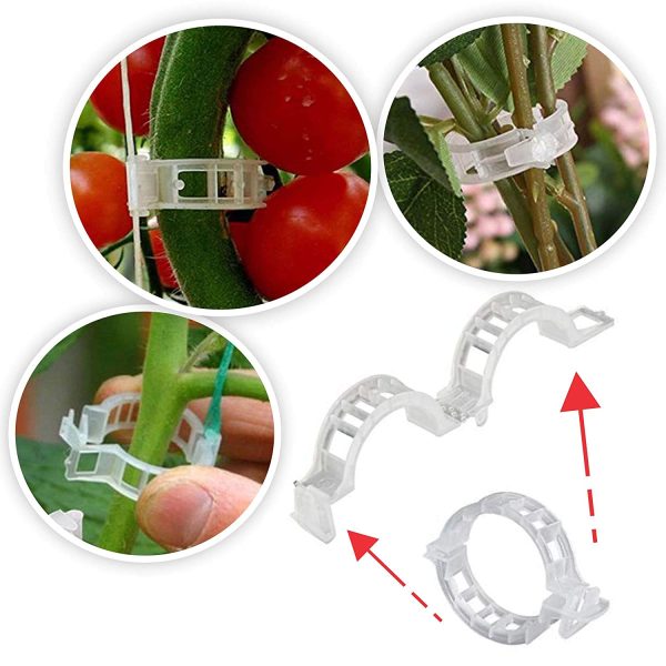 Plant Support Clips Tomato Clips - Image 8