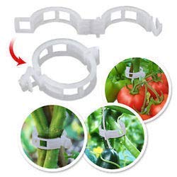 Plastic Garden Plant Support Clips Tomato Clips for Tomato Cucumber Flower Squash Vine to Make Garden Vegetables Grow Healthy Plant Support Garden Clips