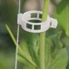 Plant Support Clips Tomato Clips - Image 3