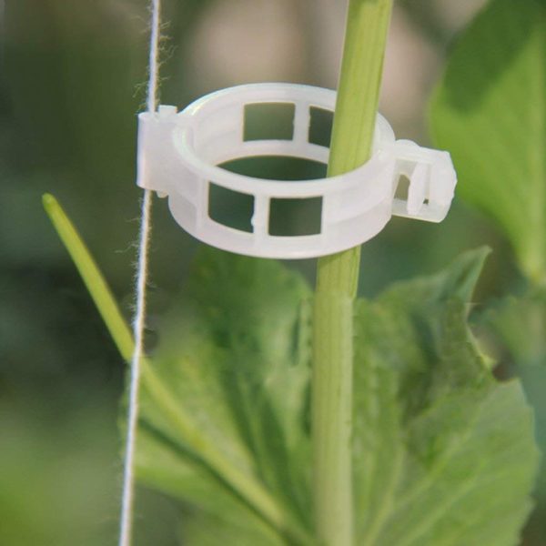 Plant Support Clips Tomato Clips - Image 3