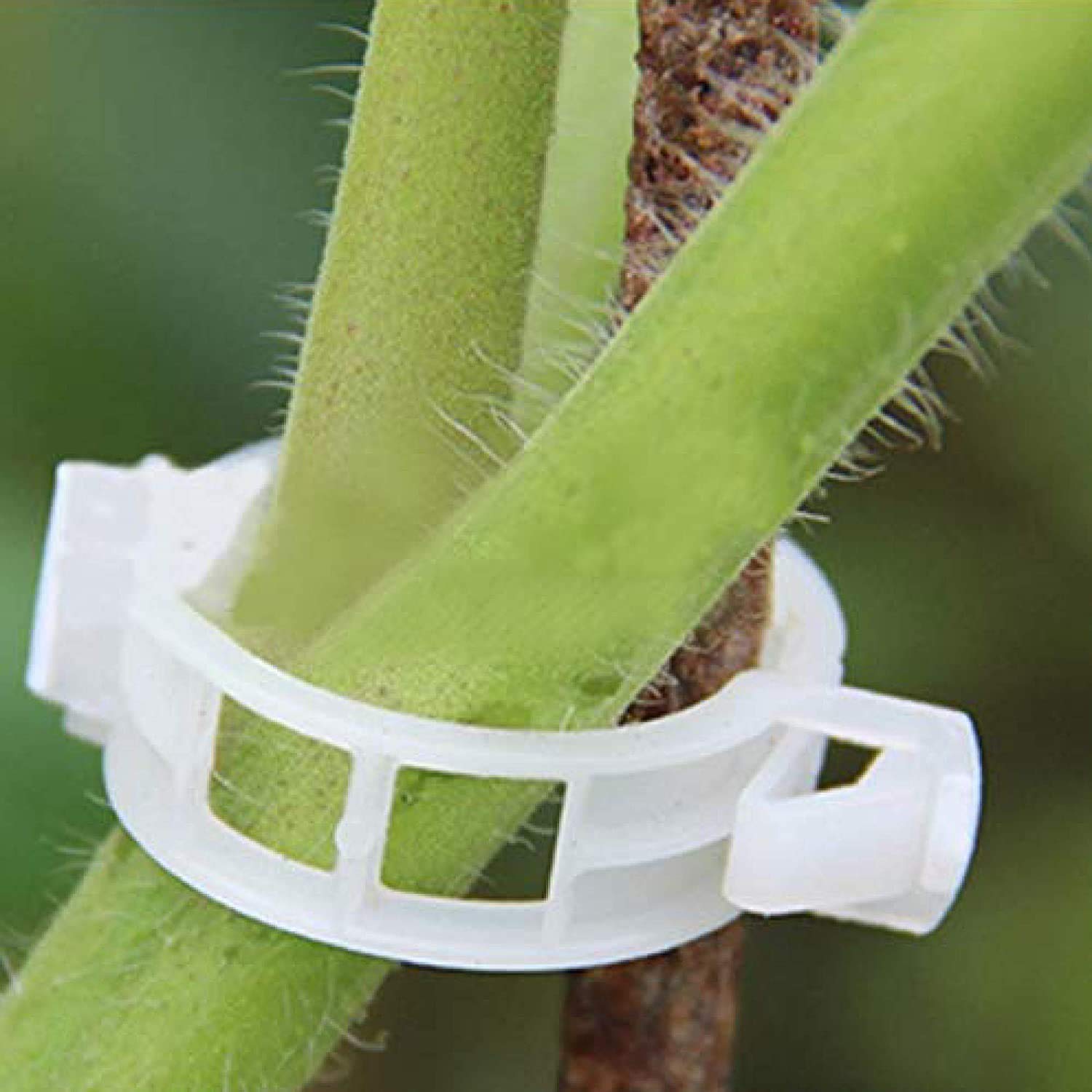 Plastic shop garden clips