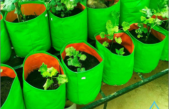 HDPE GROW BAGS