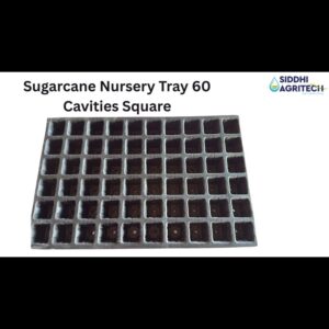 Sugarcane Nursery Tray 60 Cavities Square