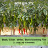 Mulching Film 25 Micron Black / Silver 3 feet x 800 Meter Roll - Image 6