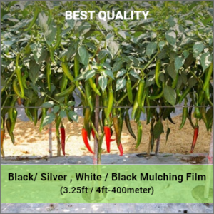 Mulching Film Zig Zag Hole 20 Micron 3.25 Feet 400 Meter hole spacing 40cm