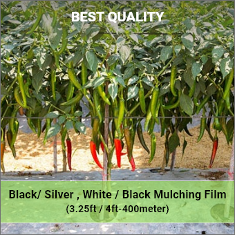 Mulching Film with Zig Zag Hole 20 Micron 4 Feet 400 Meter hole spacing 40cm