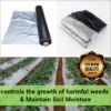 Mulching Film 25 Micron Black / Silver 3 feet x 800 Meter Roll - Image 3