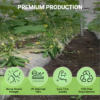 Mulching Film 25 Micron Black / Silver 3 feet x 800 Meter Roll