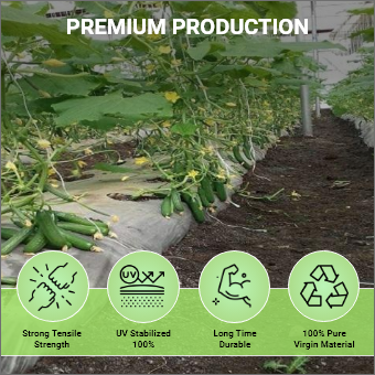 Siddhi Mulch Film 100 micron 4 feet x 400 meter