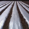 Siddhi Mulch Film 100 micron 4 feet x 400 meter - Image 2