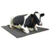 Rubber Cow Mat 4 feet x 6.5 feet WITH LOCK of 17mm Thickness. - Image 4
