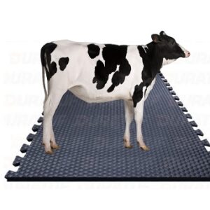 Rubber Cow Mat 4 feet x 6.5 feet without Lock of 17mm Thickness.