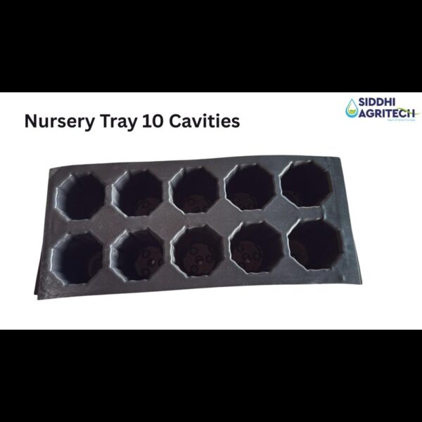 Nursery Tray 10 Cavities
