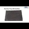 Nursery Tray 126 Cavities