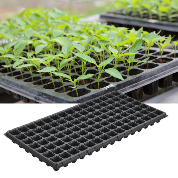 Sugarcane Nursery Tray 60 Cavities Square - Image 5