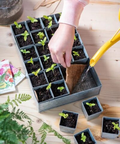 Seedling Nursery Tray 10 Cavities Gardening Germination Plastic Tray Nursery Pots Mini Propagator Plant Grow Kit Plug Tray for Seedling Germination