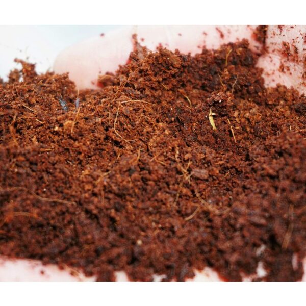 Cocopeat (5 kg block) Coir pith for kitchen and terrace gardening Potting Mixture Soil Manure (5 kg, Cake) - Image 6