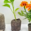 Cocopeat coin block Coir pith for kitchen and terrace gardening Potting Mixture Soil Manure Cake - Image 5