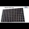 Square Nursry Tray 104 Cavities