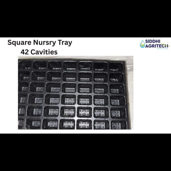 Square Nursry Tray 42 Cavities
