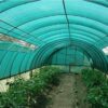Green Shade Net 50% UV Sun Protected for Terrace, Garden, Green House, Balcony & Gardening Multipurpose Agro net of Size 5.5 meter x 50 meter - Image 2