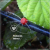 Drip Irrigation kit of Automatic Watering System for  Home Garden for 50 Plants - Image 3