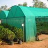 Green Shade Net 75% shade, UV Protected, HDPE Material for Terrace Garden, Green  Balcony and Gardening House of Size 5.5 meter x 50 meter - Image 2