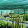 Green Shade Net 50% UV Sun Protected for Terrace, Garden, Green House, Balcony & Gardening Multipurpose Agro net of Size 5.5 meter x 50 meter - Image 5