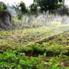 Rain Pipe Irrigation Kit for 1000 Square Meter Area with 2.5 inch subline pipe and 40mm rain pipe - Image 2