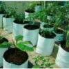Poly Grow Bags 24x24x40 cm White Outside Black Inside - Image 2