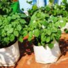 Poly Grow Bags 24x24x40 cm White Outside Black Inside