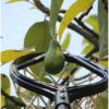 Siddhi Universal Lightweight Fruit Picker Without Pole - Image 3