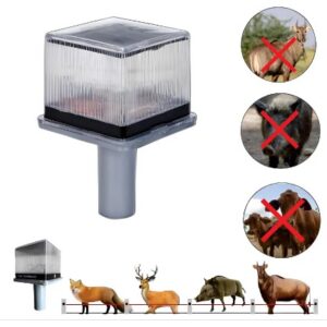Smart Solar Light with LED Lightening with Lithium Ion Battery (Pack of 10)