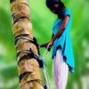 Coconut and Palm Tree Climber machine with 150 kg weighing capacity - Image 4