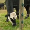 25 Acre Regular Model Zatka Solar Machine without battery - Image 2