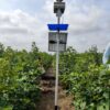 Solar Smart Radar 360 Degree Rotating water proof Light Insect Trap with Siren Alarm - Image 3