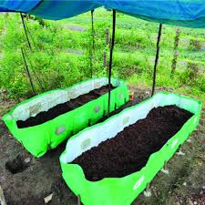 HDPE AZOLLA GROWING BED with UV Stabilized Material of 450 GSM 12x4x1 FEET