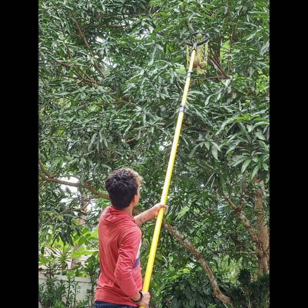 FESTEL Shock Proof Multipurpose 6-18 feet Extendable Pole with 2 Attachments (Coconut Plucker and Mango Fruit Picker) - Image 2