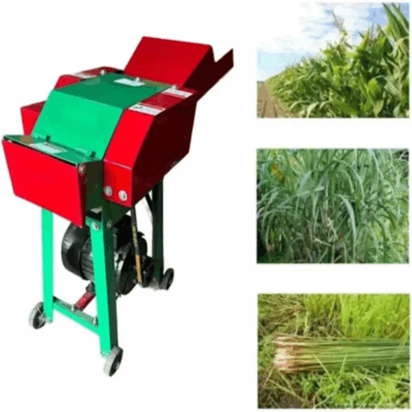 Siddhi Agritech Chaff Cutter/Grass Cutter 400-500 kg/Hr with 2HP Motor - Image 2